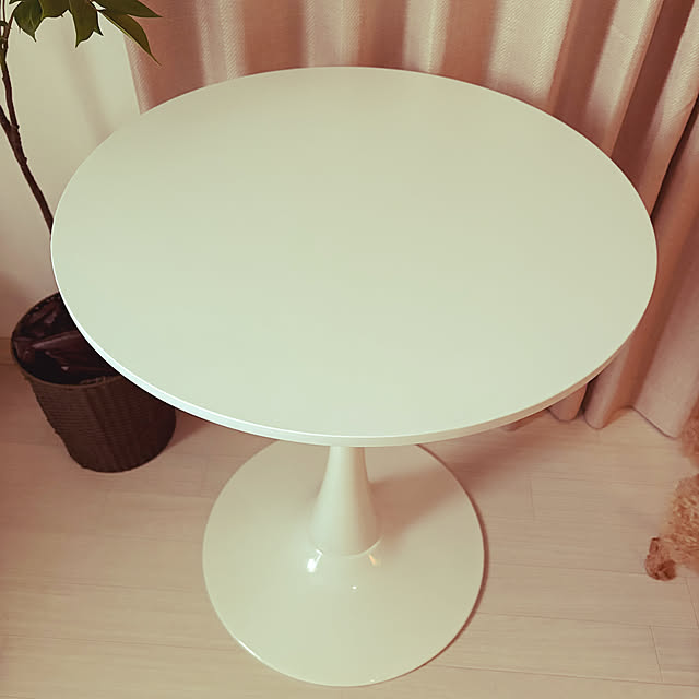 rikaさんの部屋