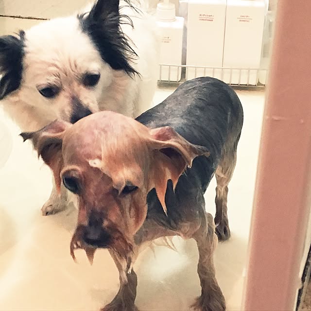 ohanaさんの実例写真