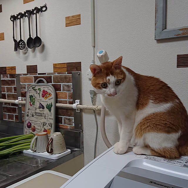 mugi77327732さんの実例写真