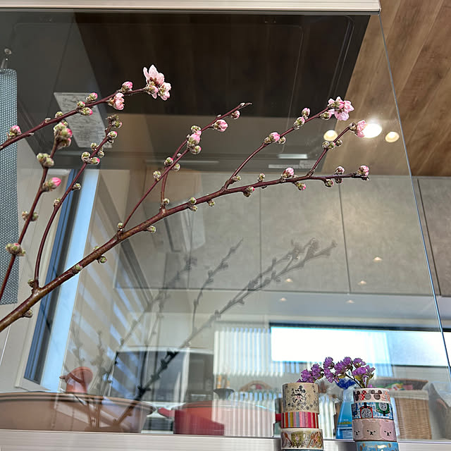 miffy.0044さんの実例写真