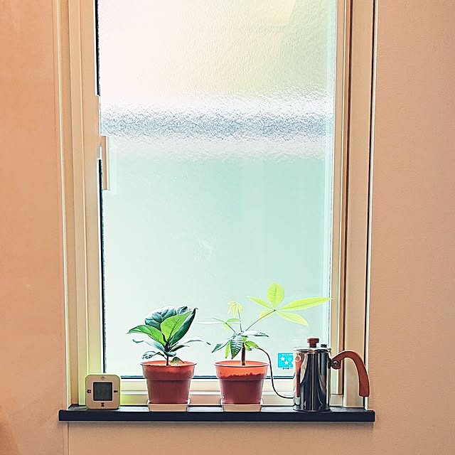 damaさんの実例写真