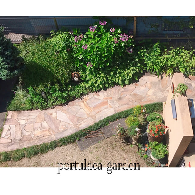 portulacaさんの実例写真