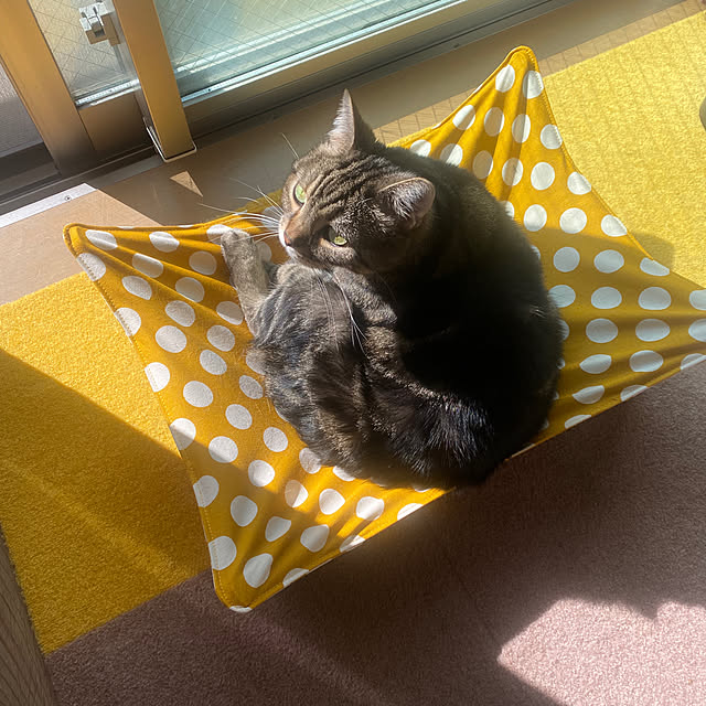 mikomaruさんの実例写真