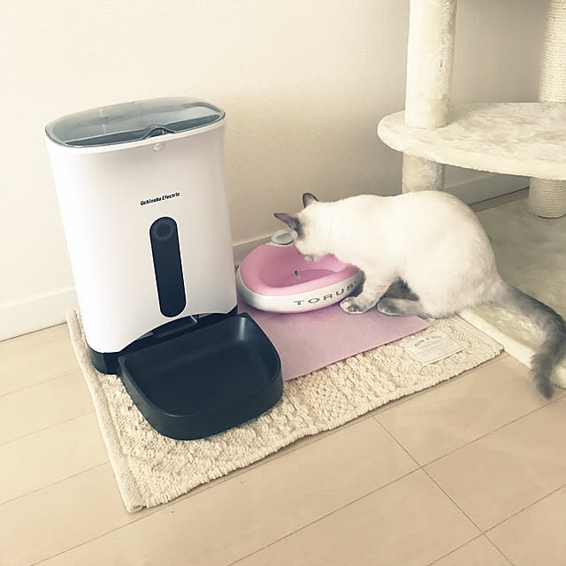koppeさんの実例写真