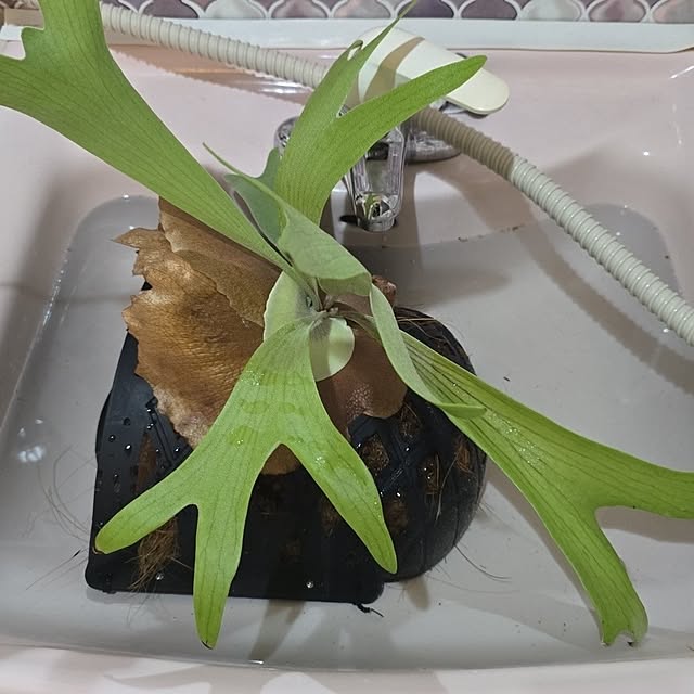 kunyさんの部屋