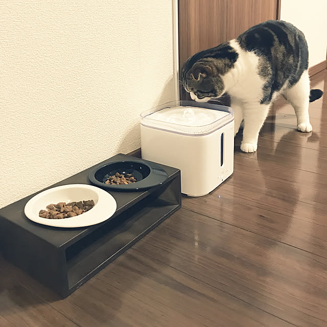 tansukeさんの実例写真