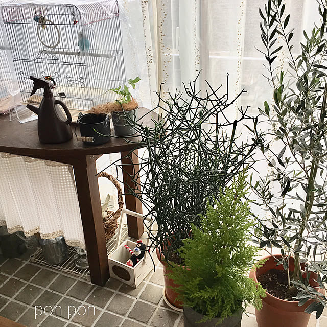 ponponHOUSEさんの実例写真