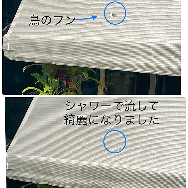 orangeさんの実例写真