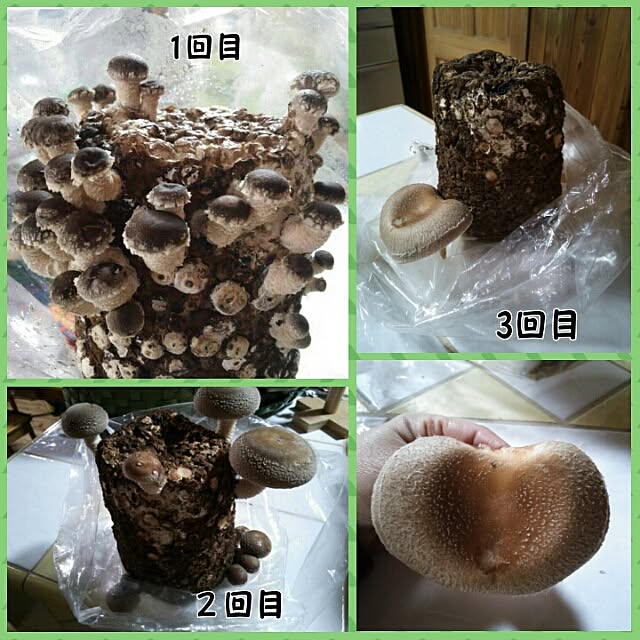 yukさんの実例写真