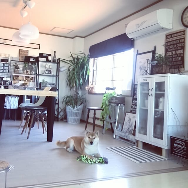 kさんの実例写真