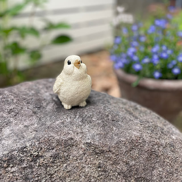 kuikoさんの部屋