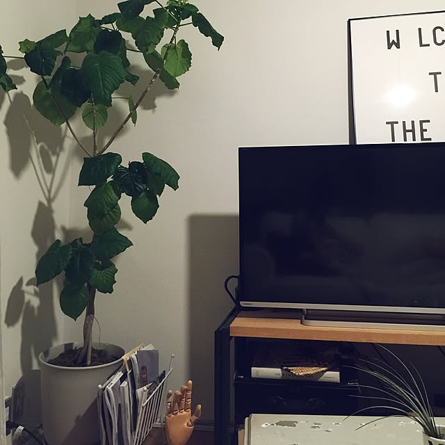 mdw1010さんの実例写真