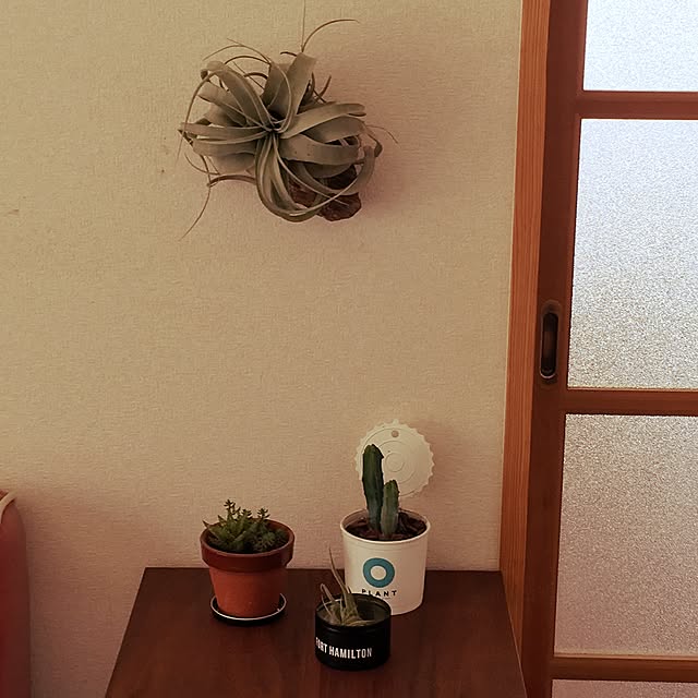 maamiさんの実例写真
