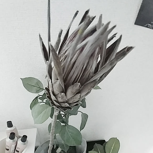 you-riさんの実例写真