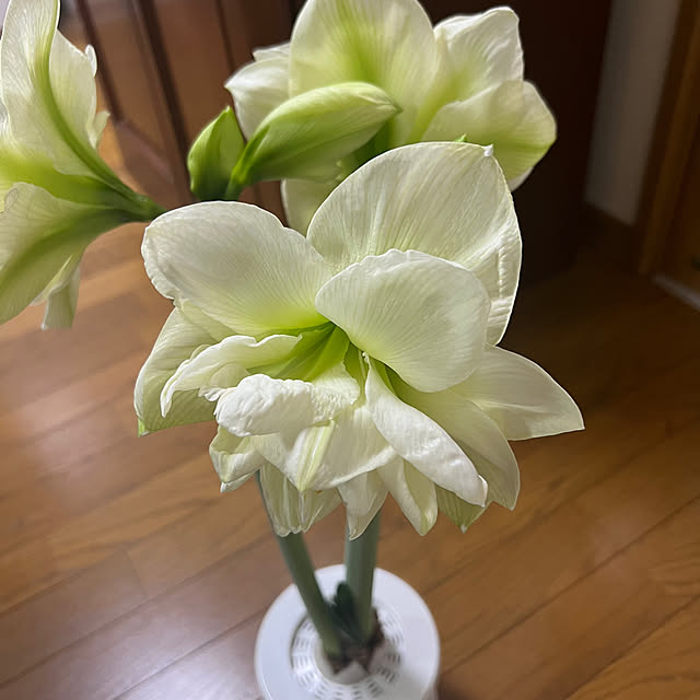 nannoさんの部屋