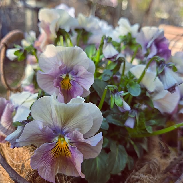 min_nimさんの部屋