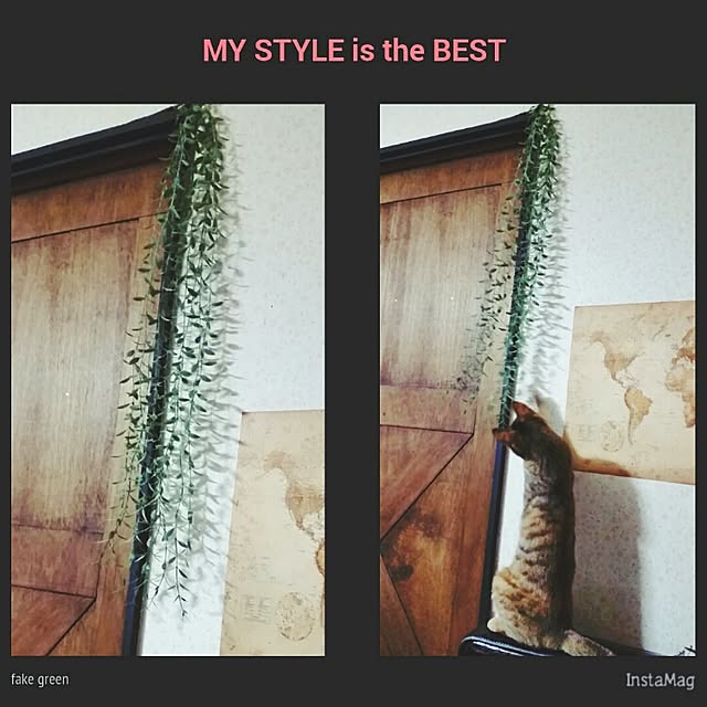 COAさんの実例写真