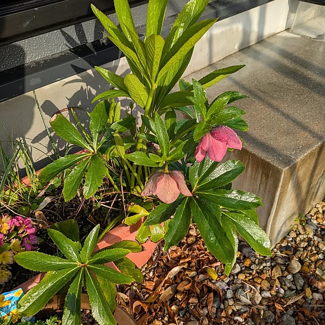 quanshanxia037さんの部屋