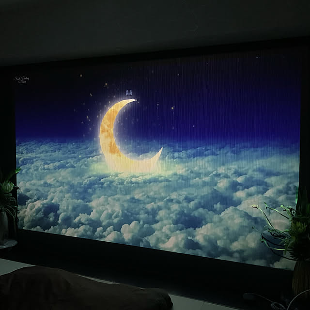 bluecosmosさんの実例写真