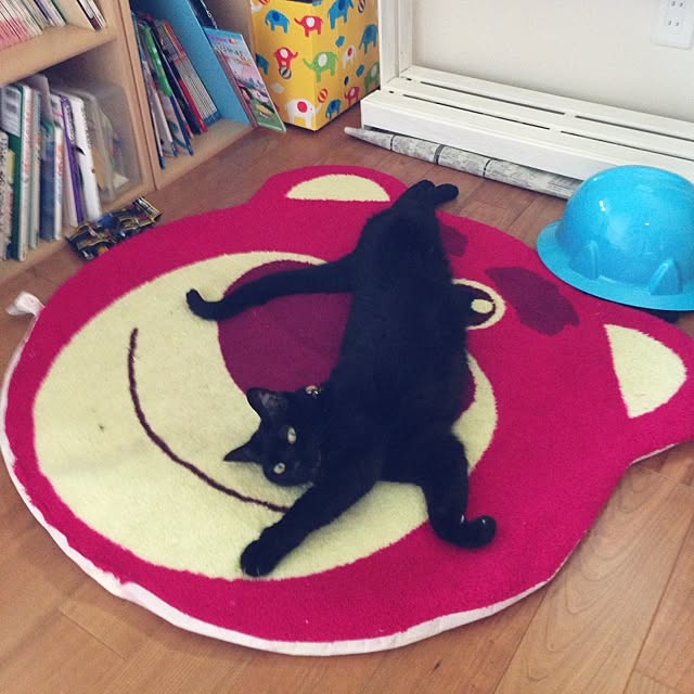 ALPSさんの実例写真