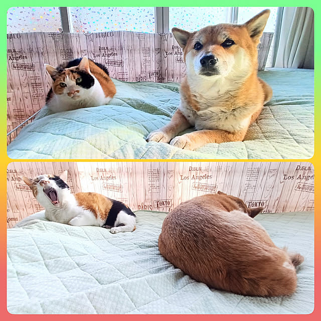 nanaさんの実例写真