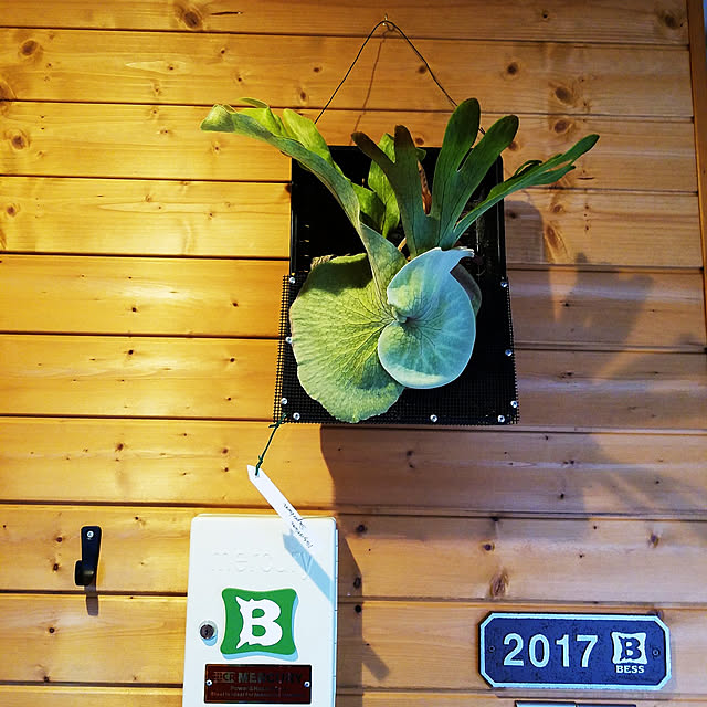crapgreenさんの実例写真