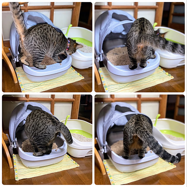 mohhaさんの実例写真
