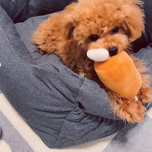 makiさんの実例写真