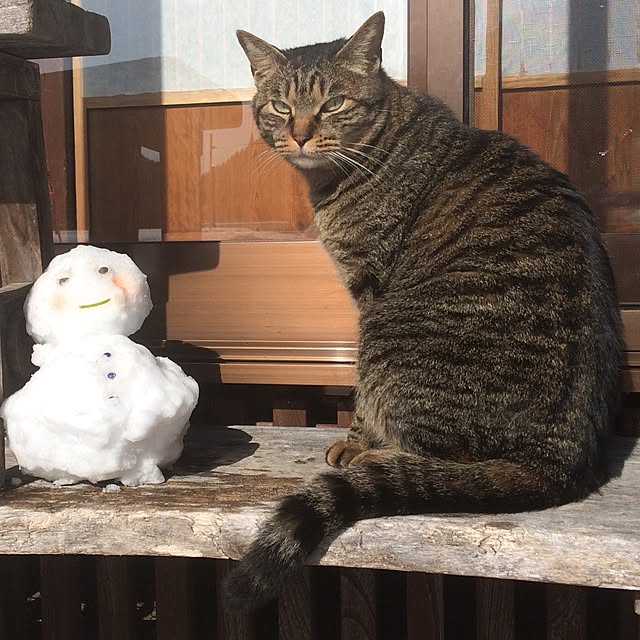 kaori_03_08さんの実例写真