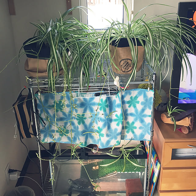nanaさんの実例写真