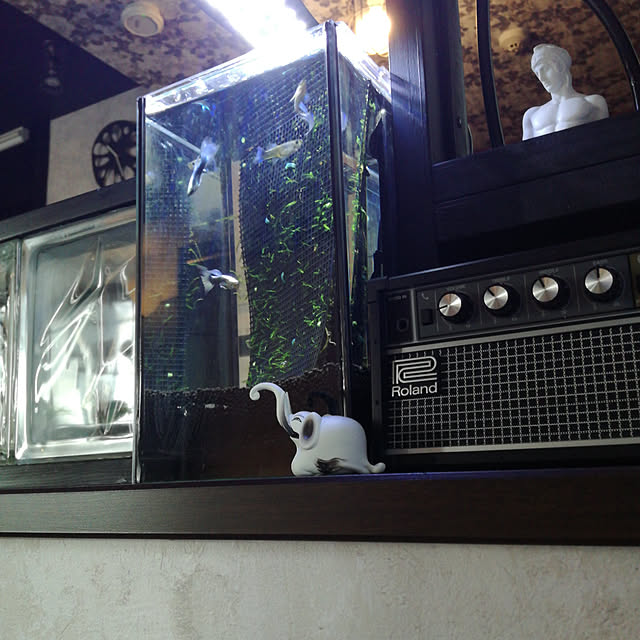 hibanaさんの実例写真