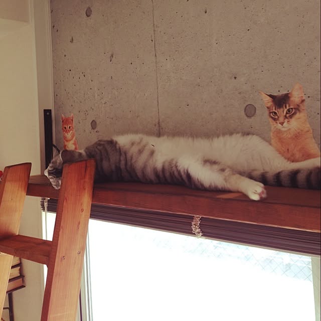 infobar12さんの実例写真