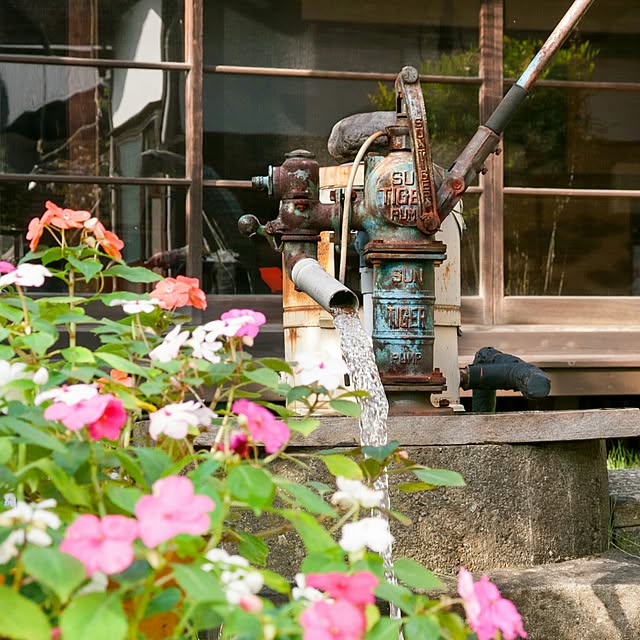 nao_nodaさんの実例写真