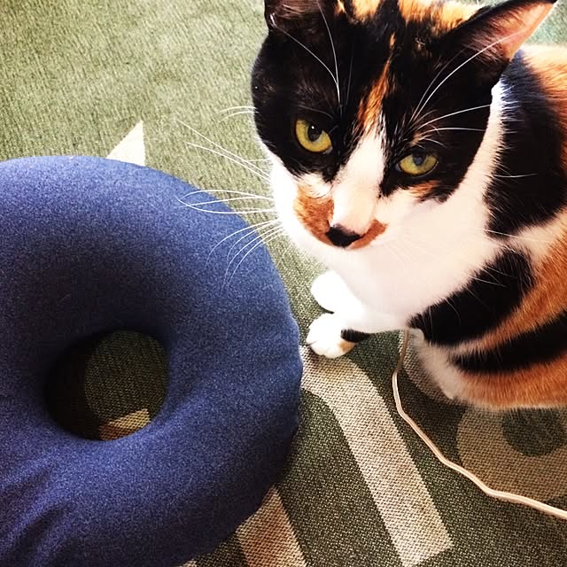 eikinukoさんの実例写真