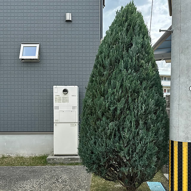 nono.0129さんの部屋