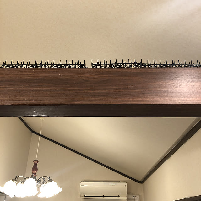 sakuraさんの実例写真