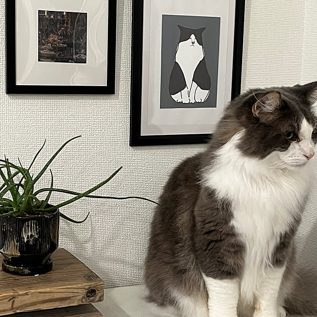leoさんの部屋