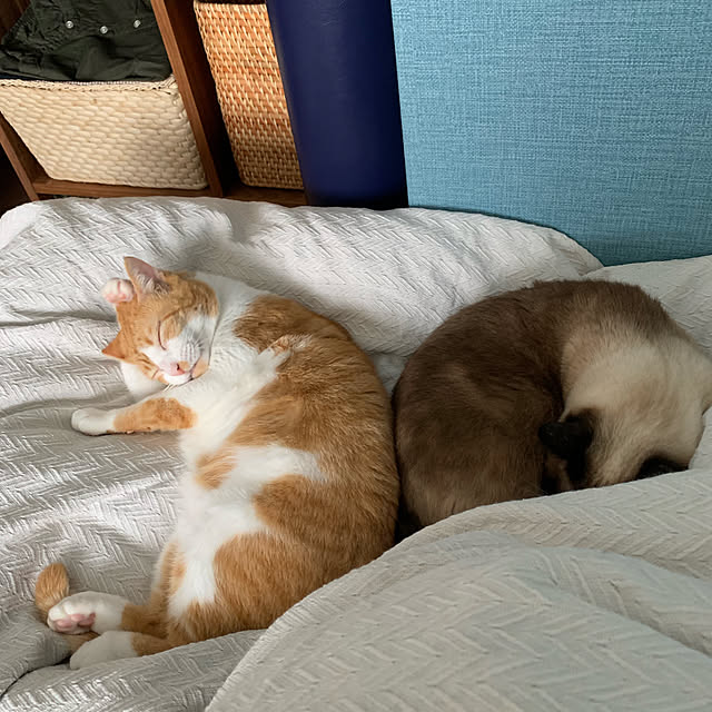 73さんの実例写真