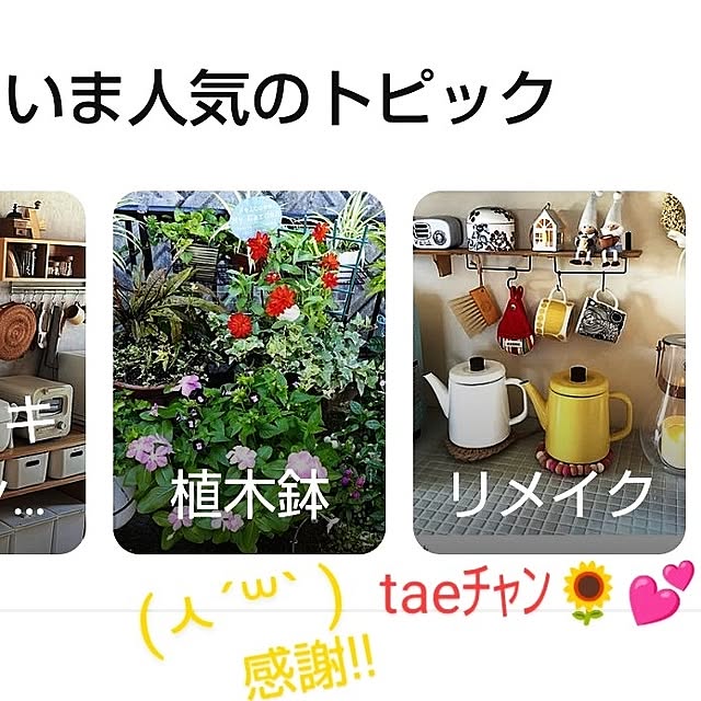 katさんの部屋