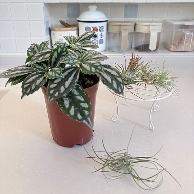 bestwishes.ryokoさんの実例写真