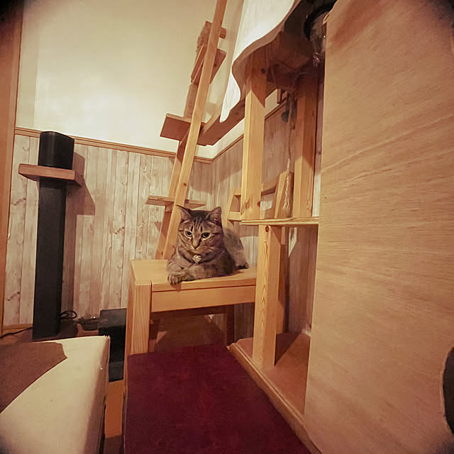 Mさんの部屋