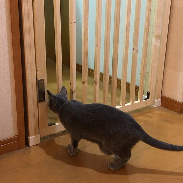 rilacoさんの実例写真