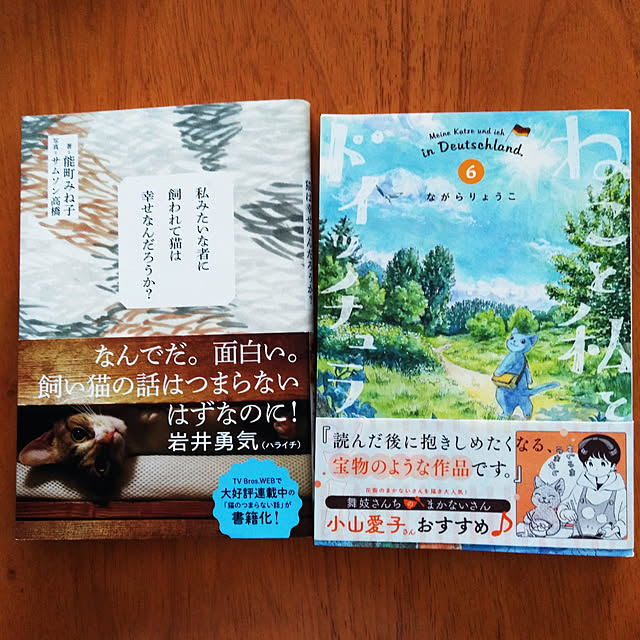 futukoの-ねこと私とドイッチュラント（6） （少年サンデーコミックス） [ ながら りょうこ ]の家具・インテリア写真