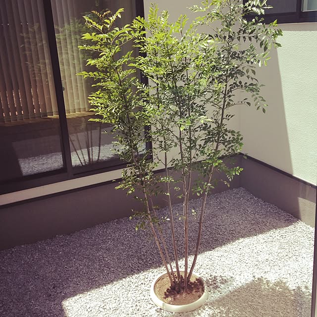 KOHAREさんの実例写真