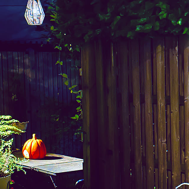 chacoさんの部屋