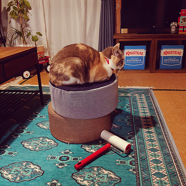 fukuさんの実例写真