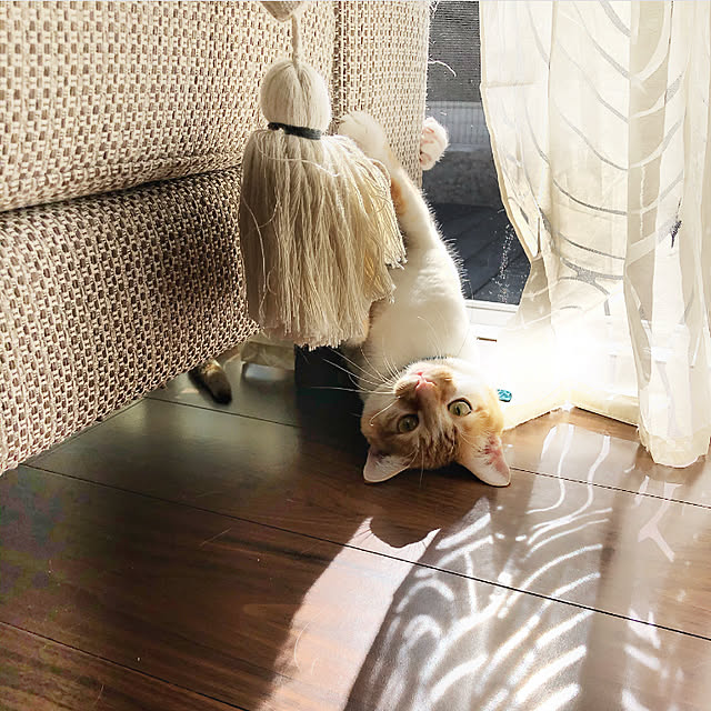 chibi76さんの実例写真