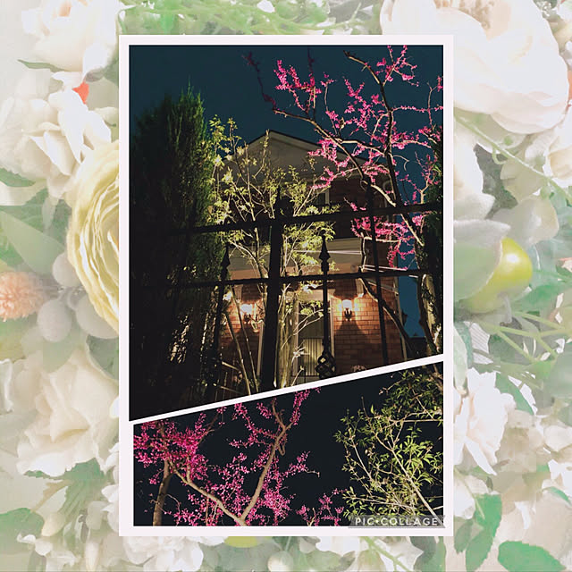 waterlilies_1224さんの実例写真