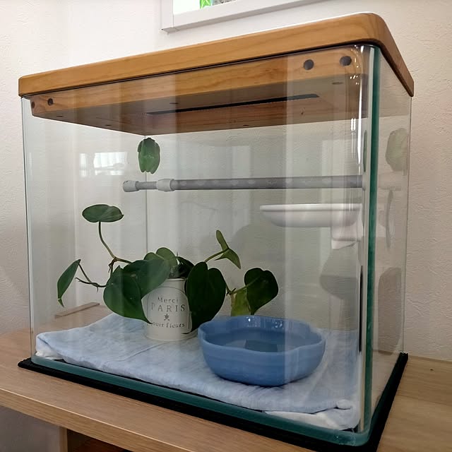 michiさんの部屋