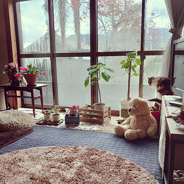 fukuさんの実例写真